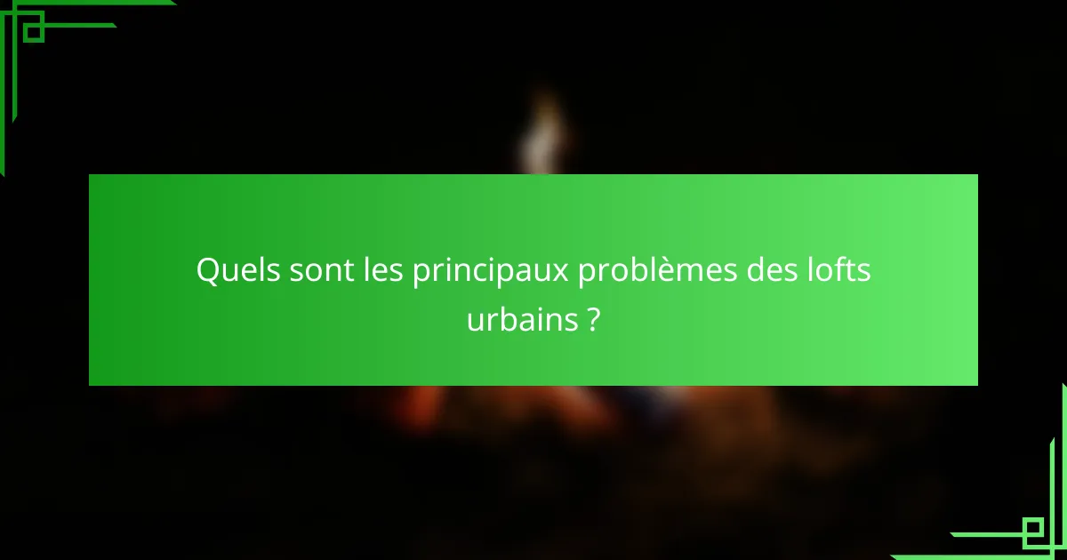 Quels sont les principaux problèmes des lofts urbains ?